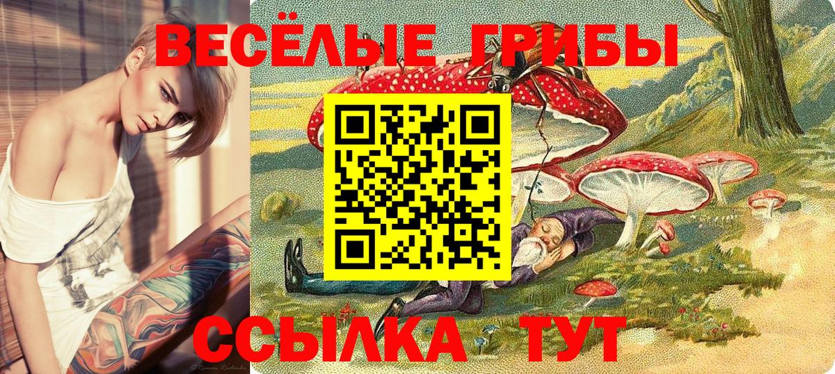Галлюциногенные грибы Magic Shrooms  Вход с VPN  Кимры  Галлюциногенные грибы Psilocybe 