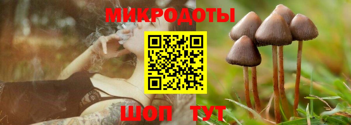 Галлюциногенные грибы прущие грибы Кимры